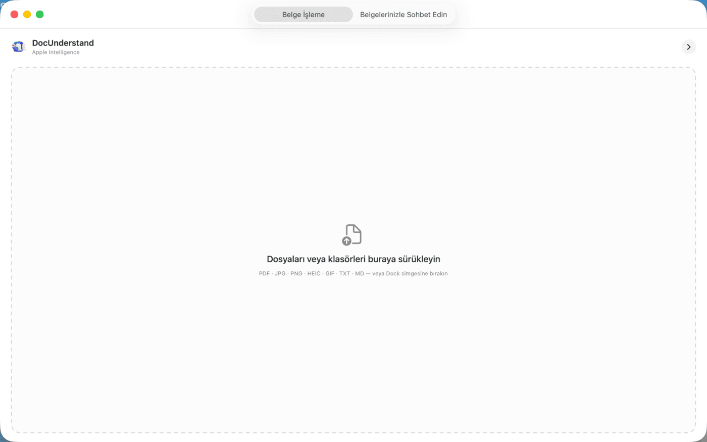 DocUnderstand – Ana pencere